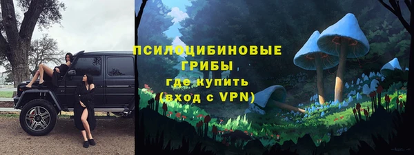 гидра Бикин