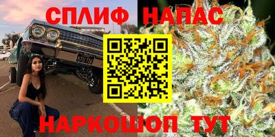трава Кинель