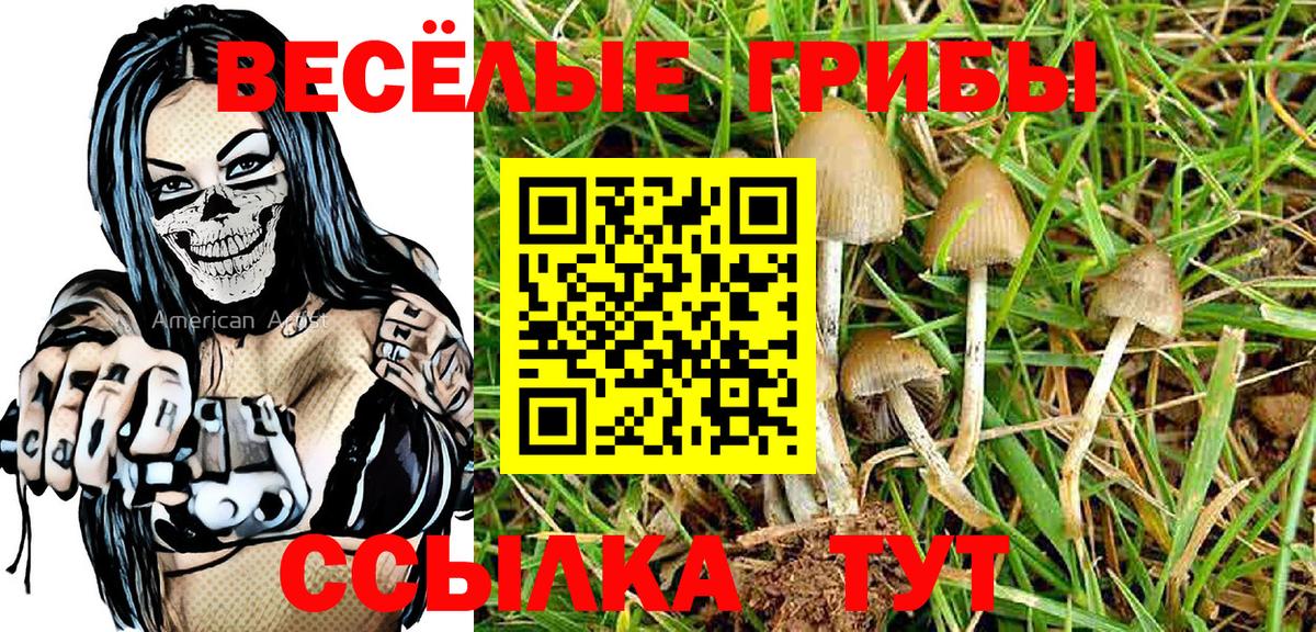 Галлюциногенные грибы мицелий  Галлюциногенные грибы Magic Shrooms  Вход с VPN  Топки 